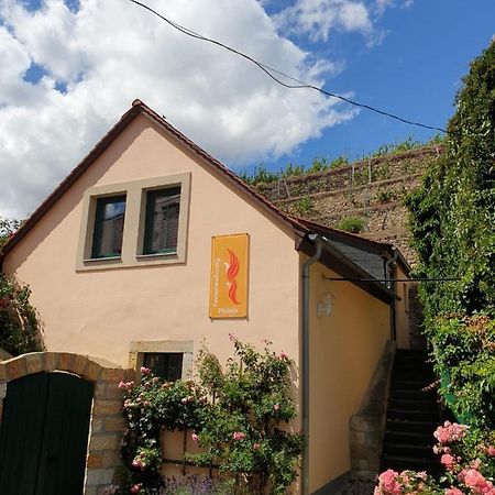 Unterkunft Am Weinberg Nunchritz Exteriör bild