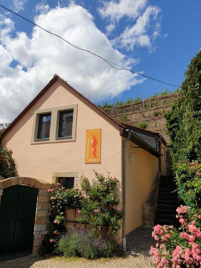 Unterkunft Am Weinberg Nunchritz Exteriör bild